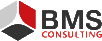BMS-Consulting